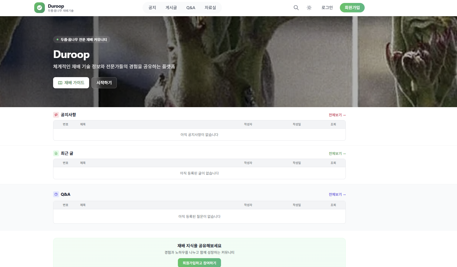 두릅음나무재배기술